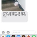 봉길이네순대국 | [일상] 2월 #4. 오늘부터 퇴사 디데이-7 꺄