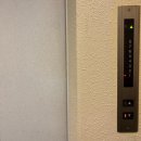 삼성초등학교 건너편(하천옆) | 캡슐 호텔 큐브 히로시마 3박 4일 후기 (2026.03.29 - 04.01)