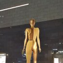 그림자의 그림자(홀 이미지