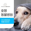 호평동물병원 이미지