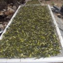 산골의하루 이미지