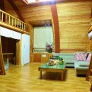 숲속의 이글루 이미지