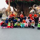 쌍문경희태권도 이미지