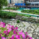 서울서남부농협하나로마트 이미지