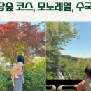 궁평마트