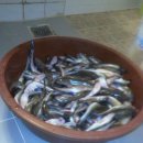 군산앞바다 이미지