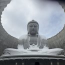 두대로-1 | 삿포로 두대불전 대불 실제 후기 입장료 위치 렌트카 여행 추천 관광지