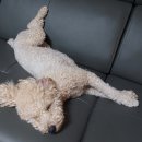 소요산약국 이미지