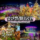 세븐일레븐 대구대명대덕점 | 대구 크리스마스트리 명소 앞산빨래터공원 겨울정원