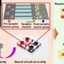 인하대학교박물관 이미지