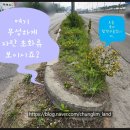 청림조경공사