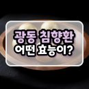 소나무약국 | 광동침향환 효능 부작용 : 가격, 복용법 성분 총정리