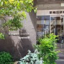 YE'S 트레이닝센터 | 오사카역 가성비 호텔 숙박 후기 "S.Training Center Hotel"