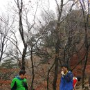 하우스플러스주