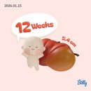 메디렌느산부인과의원 네이버블로그