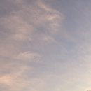 찬물내기관광농원 이미지