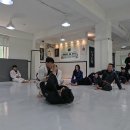 석균 이미지