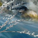 내가 다녀온명산 정보 이미지