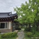 삼하리카페