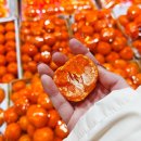 한라농수산