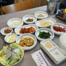 청송능이한방백숙 | 경북 청송 능이백숙 맛집 미정식당