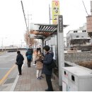 대전둔산여자고등학교 이미지