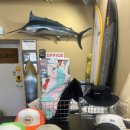 7드라이브인 이미지