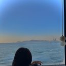 호텔 에스원 | 애견동반 풀빌라 “스테이온” -해운대 풀빌라/경상도 애견동반 숙소/내돈내산 후기/애견동반 풀빌라 추천