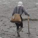 천사의섬 신안군 가볼만한곳 암태도, 자은도, 팔금도, 안좌도