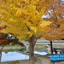 이구산경로당 네이버블로그