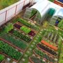 인터케어 이미지