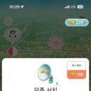 토마토네일