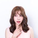 헤어노블 이미지