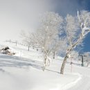 니세코 빌리지 스키장 이미지