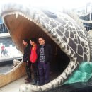 다누리센터 아쿠아리움 이미지