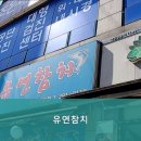 유연참치 이미지