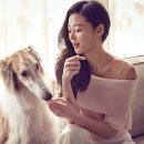 P1069 이미지