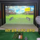 레몬스크린골프 이미지
