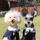 오리&닭 푸드