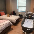 나리명품세탁 | 김포 나리산후조리원 입소후기(2주가 어땠나)