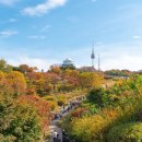 남산공원길2 이미지