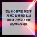 강남 하수도막힘 해결 후기 믿고 맡긴 전문 업체 경험담 전문적인 케어 강남 하수도막힘