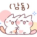 소나타피아노교습소 이미지