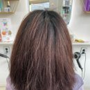 정아미용실 이미지