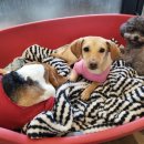 에이앤디 (A.N.D) 이미지