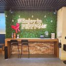 몽몽이 애견미용 이미지