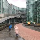 비자숲민박 이미지