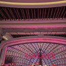 세아리조트 | 마카오에서 품격 있는 휴식과 일본식 서비스가 공존하는 5성급 리조트,호캉스 왔어요 [호텔 오쿠라 마카오]