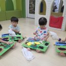 해오름농장-1 이미지