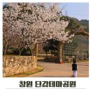 창원단감테마공원 | 창원 단감테마공원 킥보드 타기 좋은 곳 추천